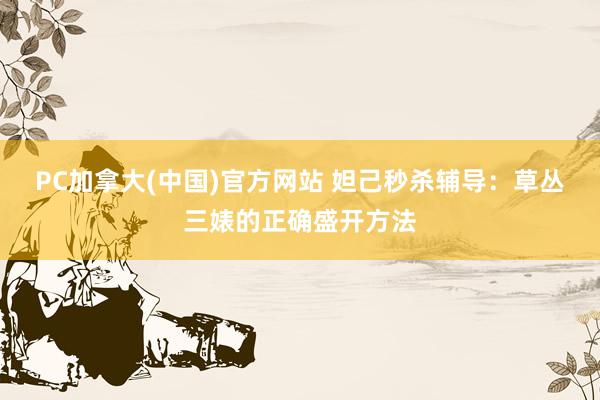 PC加拿大(中国)官方网站 妲己秒杀辅导：草丛三婊的正确盛开方法