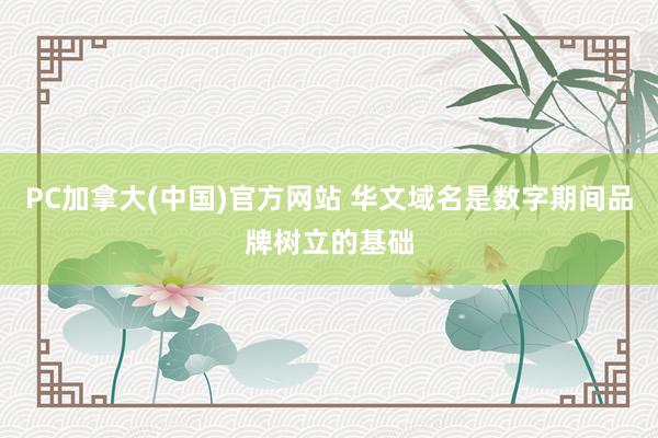 PC加拿大(中国)官方网站 华文域名是数字期间品牌树立的基础