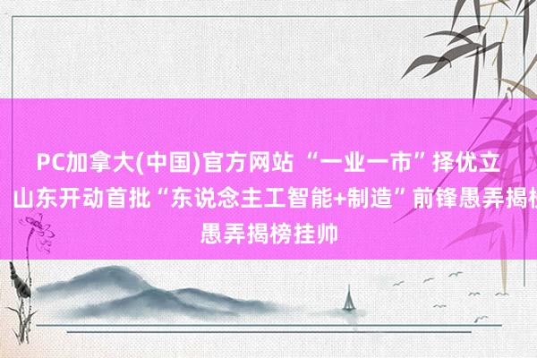 PC加拿大(中国)官方网站 “一业一市”择优立标杆，山东开动首批“东说念主工智能+制造”前锋愚弄揭榜挂帅