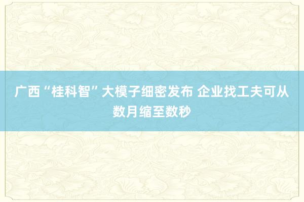 广西“桂科智”大模子细密发布 企业找工夫可从数月缩至数秒
