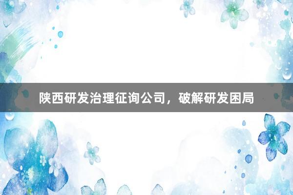 陕西研发治理征询公司，破解研发困局