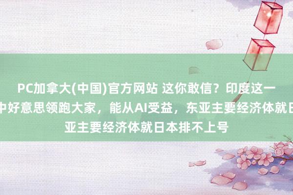 PC加拿大(中国)官方网站 这你敢信？印度这一AI数据打败中好意思领跑大家，能从AI受益，东亚主要经济体就日本排不上号