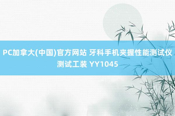 PC加拿大(中国)官方网站 牙科手机夹握性能测试仪测试工装 YY1045