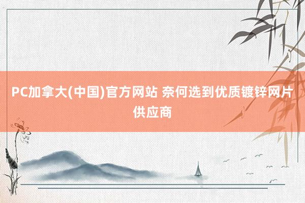 PC加拿大(中国)官方网站 奈何选到优质镀锌网片供应商