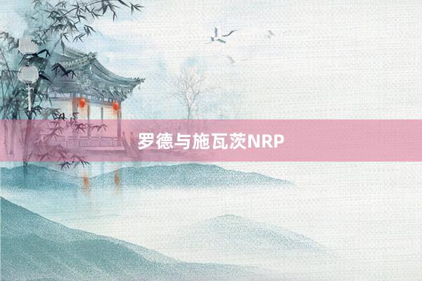 罗德与施瓦茨NRP