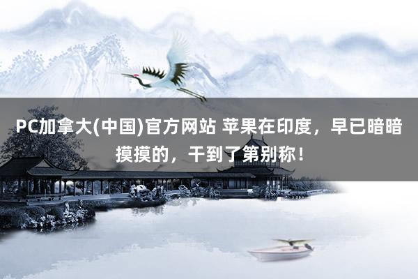 PC加拿大(中国)官方网站 苹果在印度，早已暗暗摸摸的，干到了第别称！