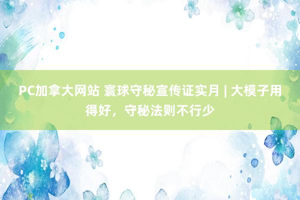 PC加拿大网站 寰球守秘宣传证实月 | 大模子用得好，守秘法则不行少