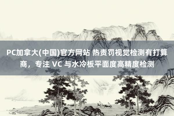 PC加拿大(中国)官方网站 热责罚视觉检测有打算商，专注 VC 与水冷板平面度高精度检测
