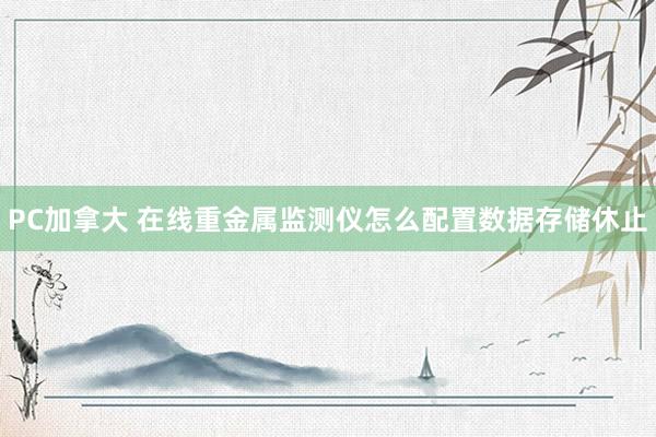 PC加拿大 在线重金属监测仪怎么配置数据存储休止