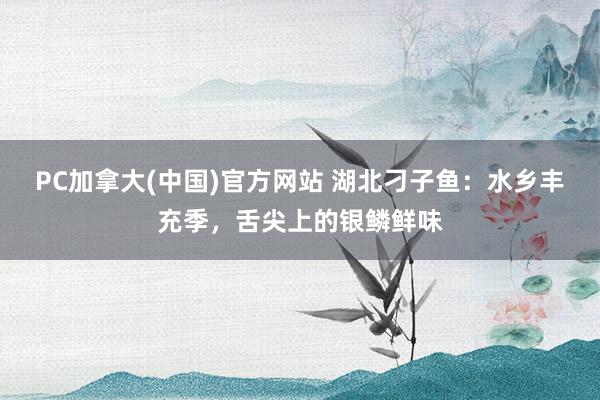 PC加拿大(中国)官方网站 湖北刁子鱼：水乡丰充季，舌尖上的银鳞鲜味