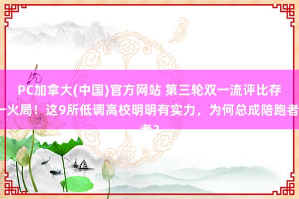 PC加拿大(中国)官方网站 第三轮双一流评比存一火局！这9所低调高校明明有实力，为何总成陪跑者？
