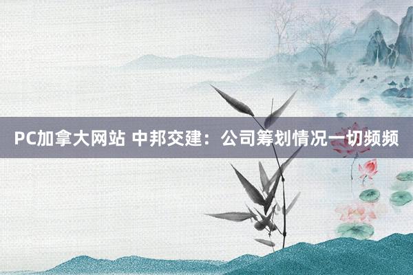 PC加拿大网站 中邦交建：公司筹划情况一切频频