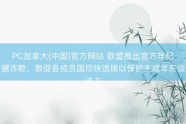 PC加拿大(中国)官方网站 欧盟推出官方年纪考据诈欺，敦促各成员国尽快选拔以保护未成年东谈主