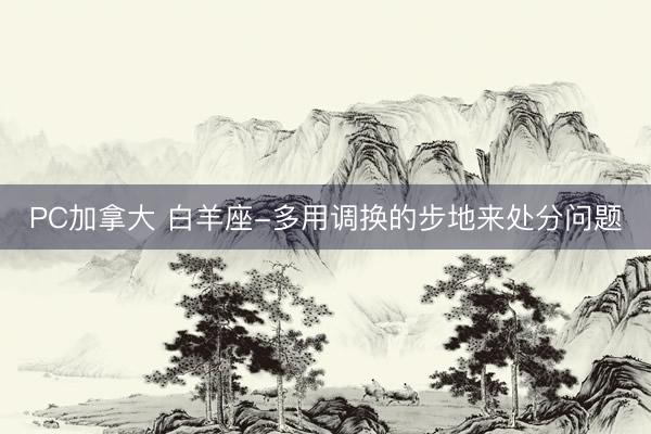 PC加拿大 白羊座-多用调换的步地来处分问题